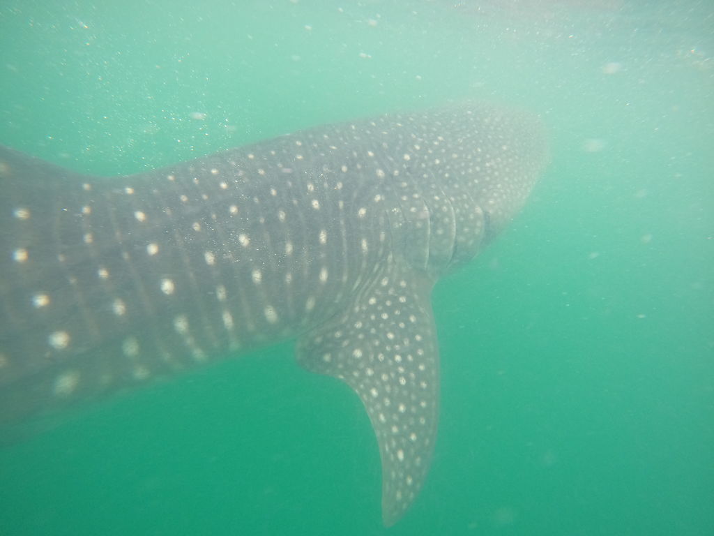 106bc7d1-e52c-4ab9-ac22-bbea1dbc1dd2