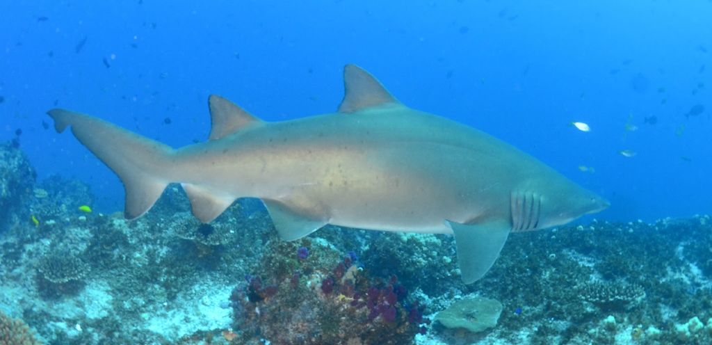 af957dbe-90a2-425b-a4ca-b71dde2bf3ae