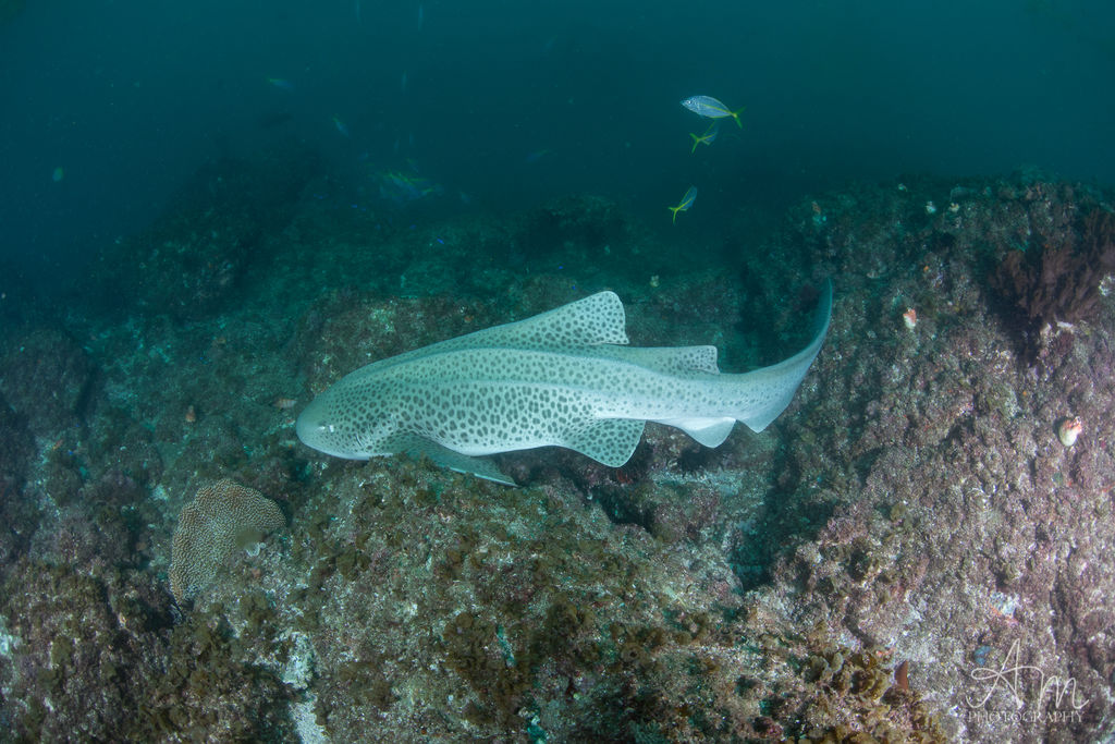 16a268de-b5ea-4dc1-96e8-4247635d0380