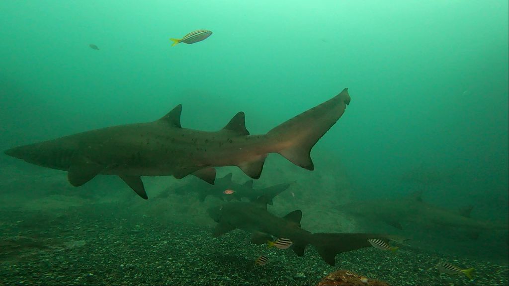 132979ac-5a0e-4c1b-a0e7-c398589a84a9