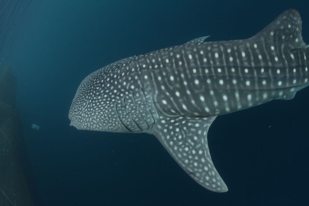 0b981b00-cd7b-4ab4-b996-d633e505499e