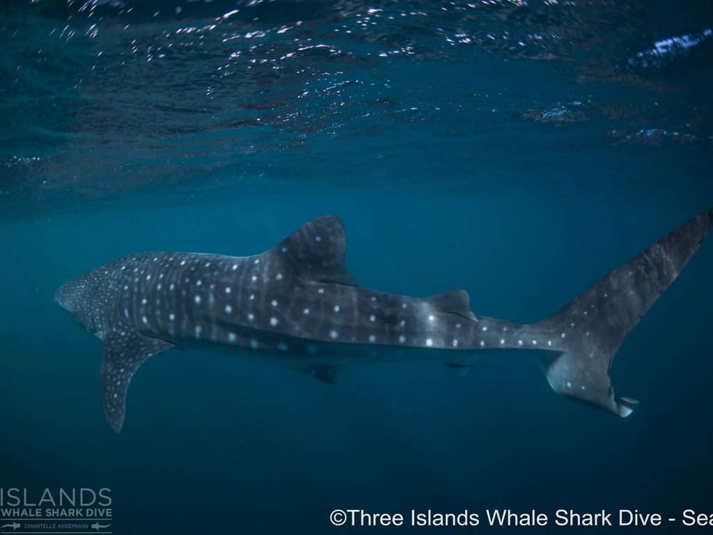 4a3654bf-48d5-409a-bda8-ee710640ce7a