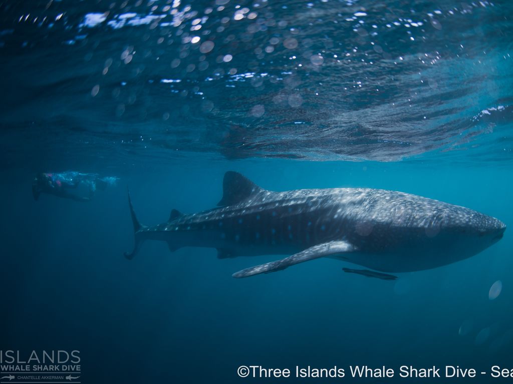 4a3654bf-48d5-409a-bda8-ee710640ce7a