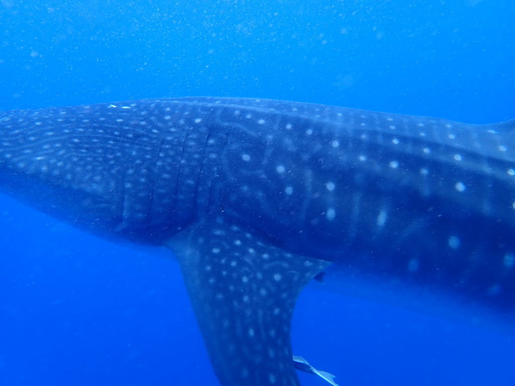 01a98e4a-084b-421e-b218-1f1e8b829adf