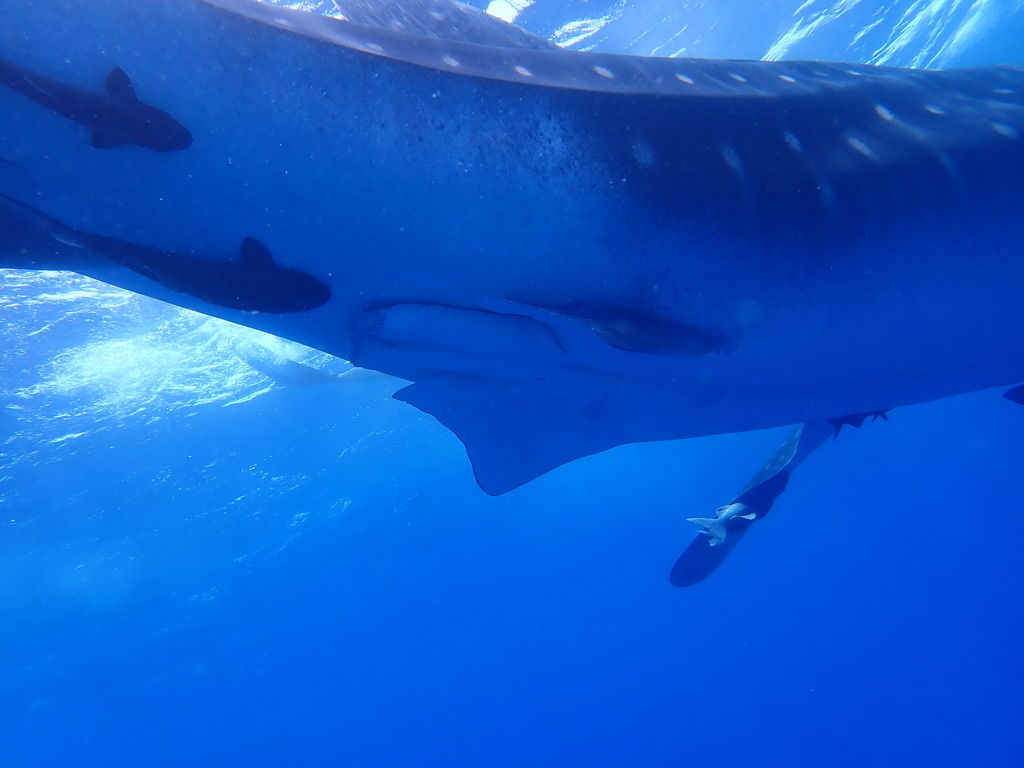 01a98e4a-084b-421e-b218-1f1e8b829adf