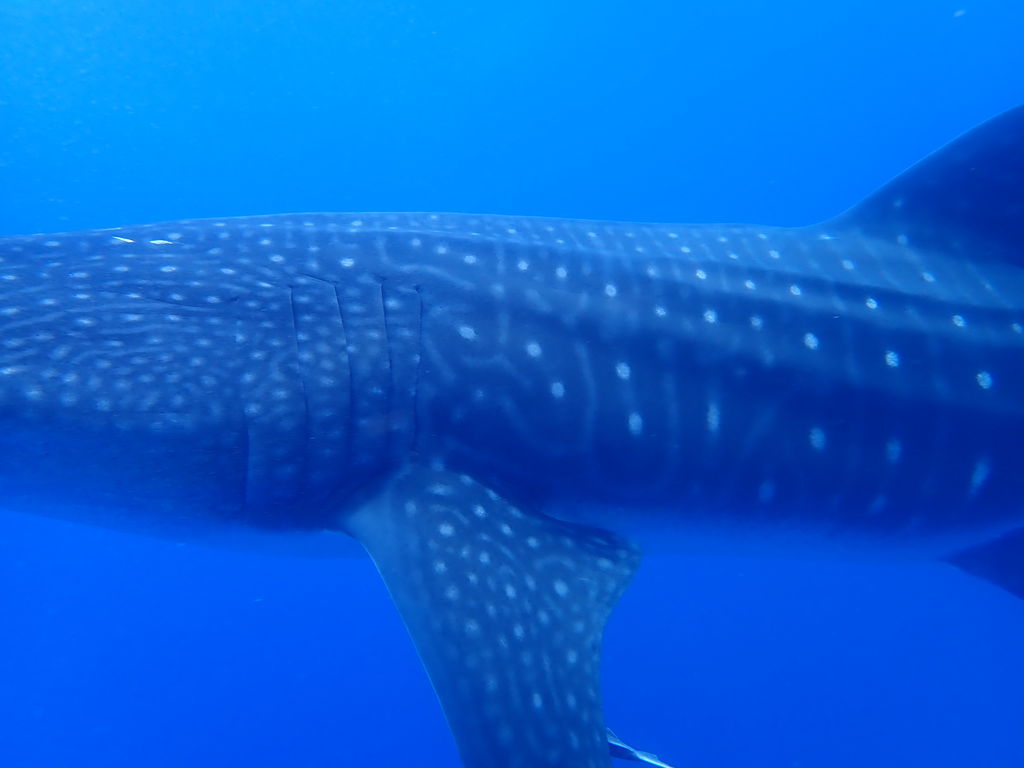 01a98e4a-084b-421e-b218-1f1e8b829adf