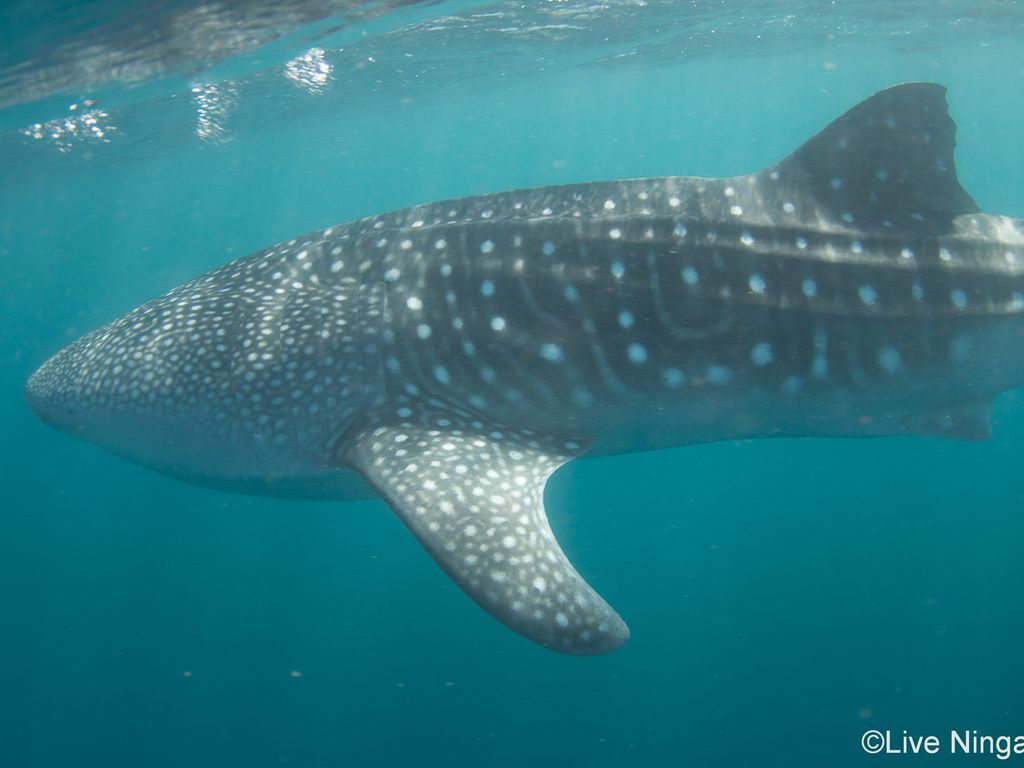 69956881-8e08-433a-b431-93c9fa6331be