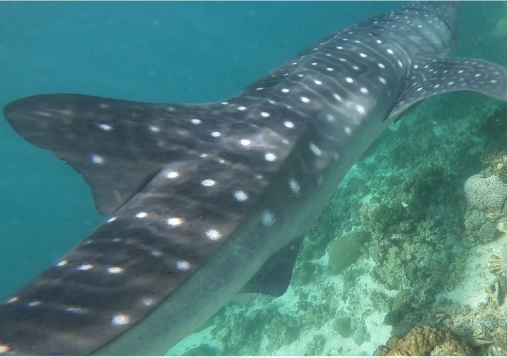 21b53a21-6614-431c-a4ef-e01668df024c