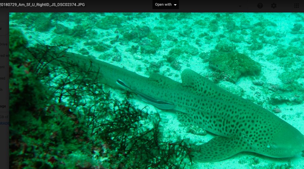 48487be7-9a65-4151-9571-75f1debc1042