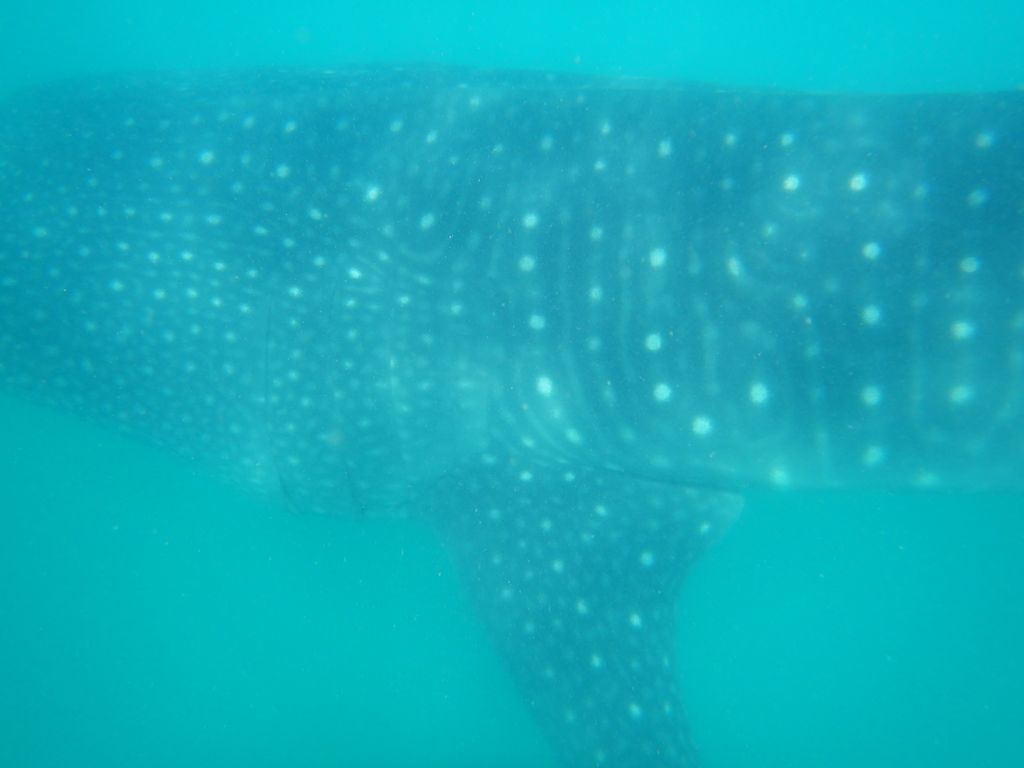 ccd77028-6591-4833-80b5-778f9a6bf197