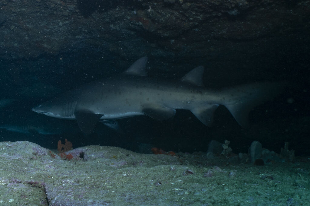 abb983cd-3a41-4f31-918d-40eaa43feb49