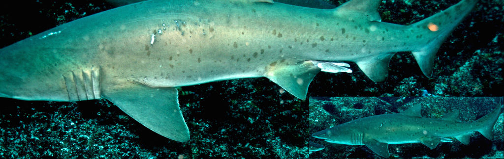 c019f056-fa1a-489a-aacf-d2cebe3cdc09