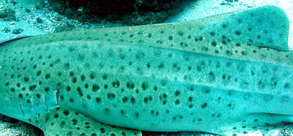 ad7ce5f4-6853-408c-a68c-bf1269529ea1