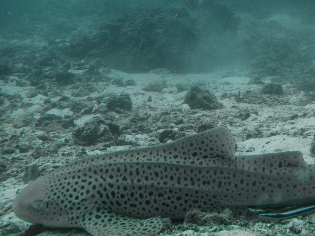 779bad75-d336-4148-ae61-3eb42b8410b3