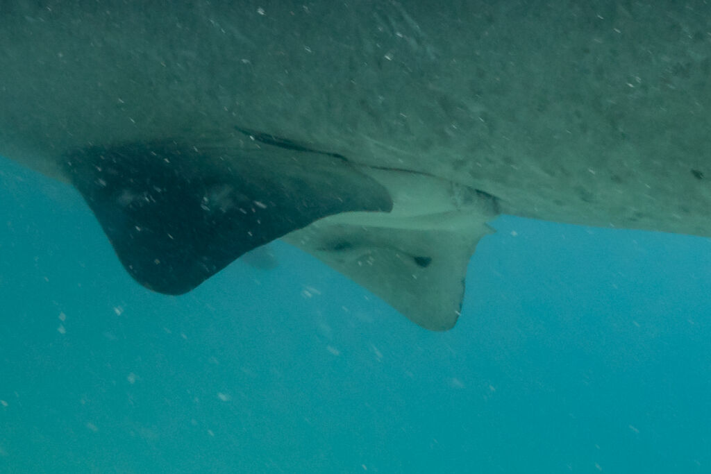 68cc9d82-b626-46b8-a124-c55927560f19