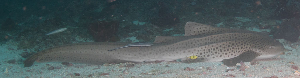 23cc2d04-8df3-4852-82b1-9601e7ec4ccc