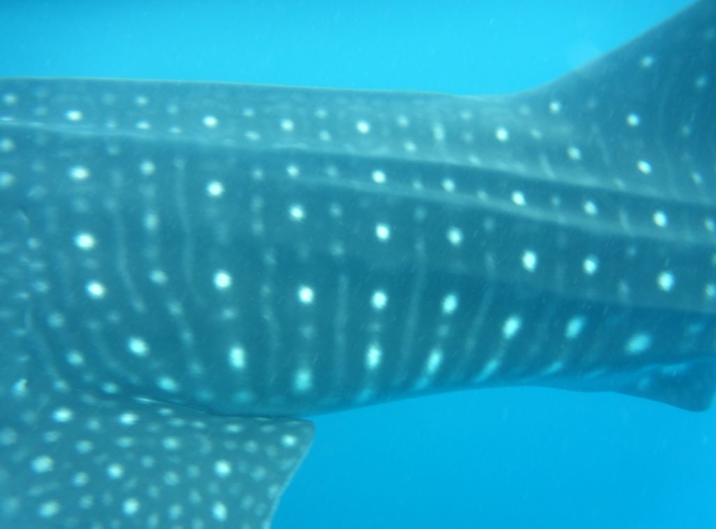 22bc7e7e-7890-4ea2-829d-dd92d076a732