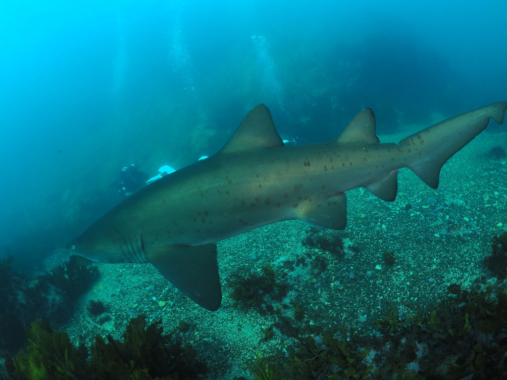 03ca343b-9765-4a58-ab5e-8ab14fdcf714