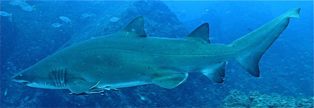 bf2e3d3c-c656-487e-b427-d841372d40b6