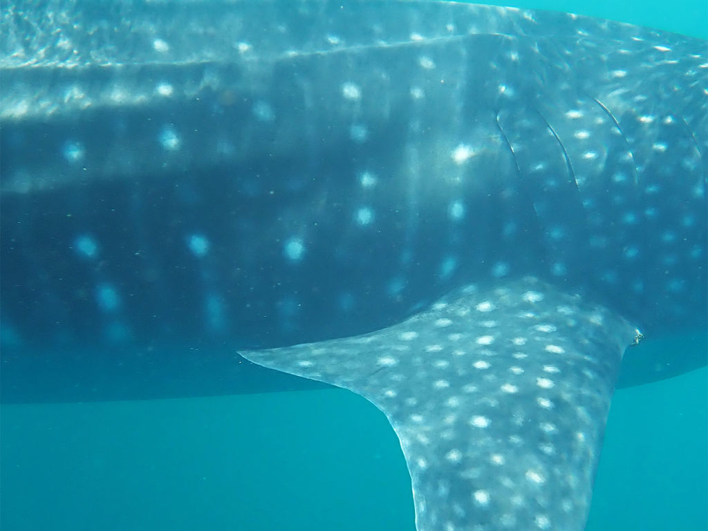 dc61db6b-2672-475c-8f27-1cb8cd8d232e