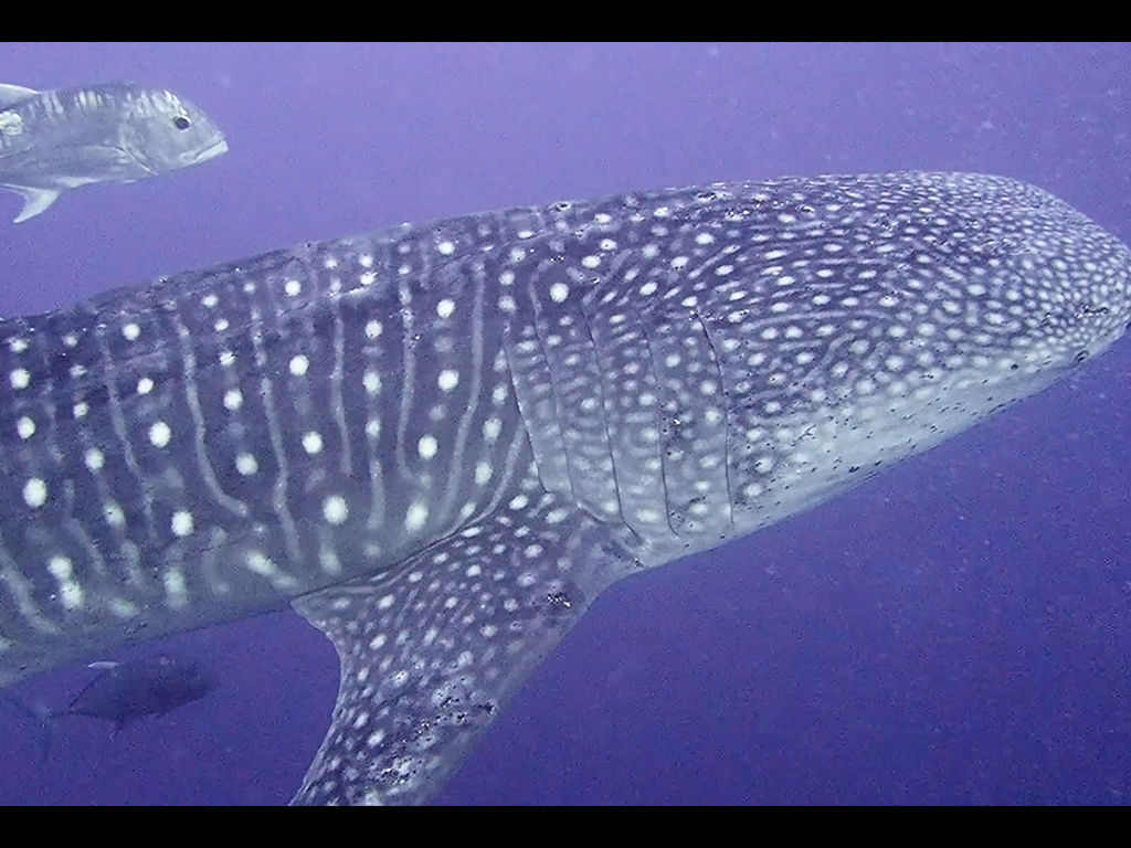 5858df1d-d17c-43c7-a96d-ea315b4cb45e