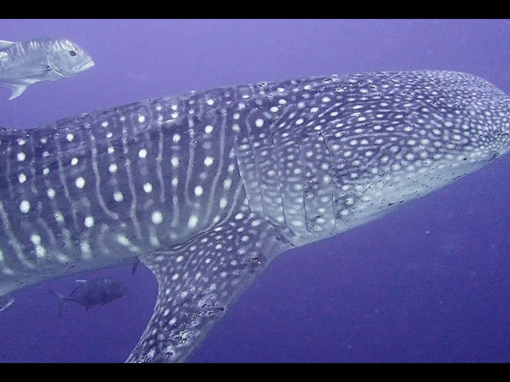 5858df1d-d17c-43c7-a96d-ea315b4cb45e