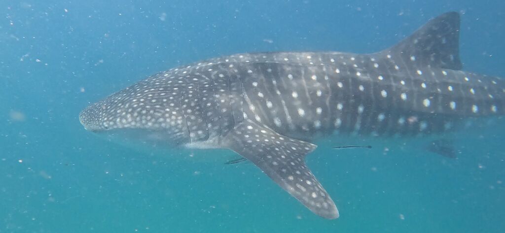 37e06426-c79d-4ecd-ae6d-f53123e27b4f