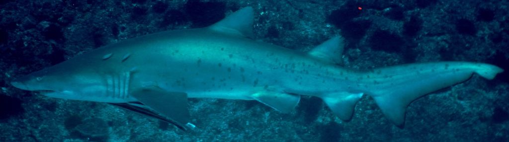 eb097c98-6799-4e38-8cb9-2e364e5df88f