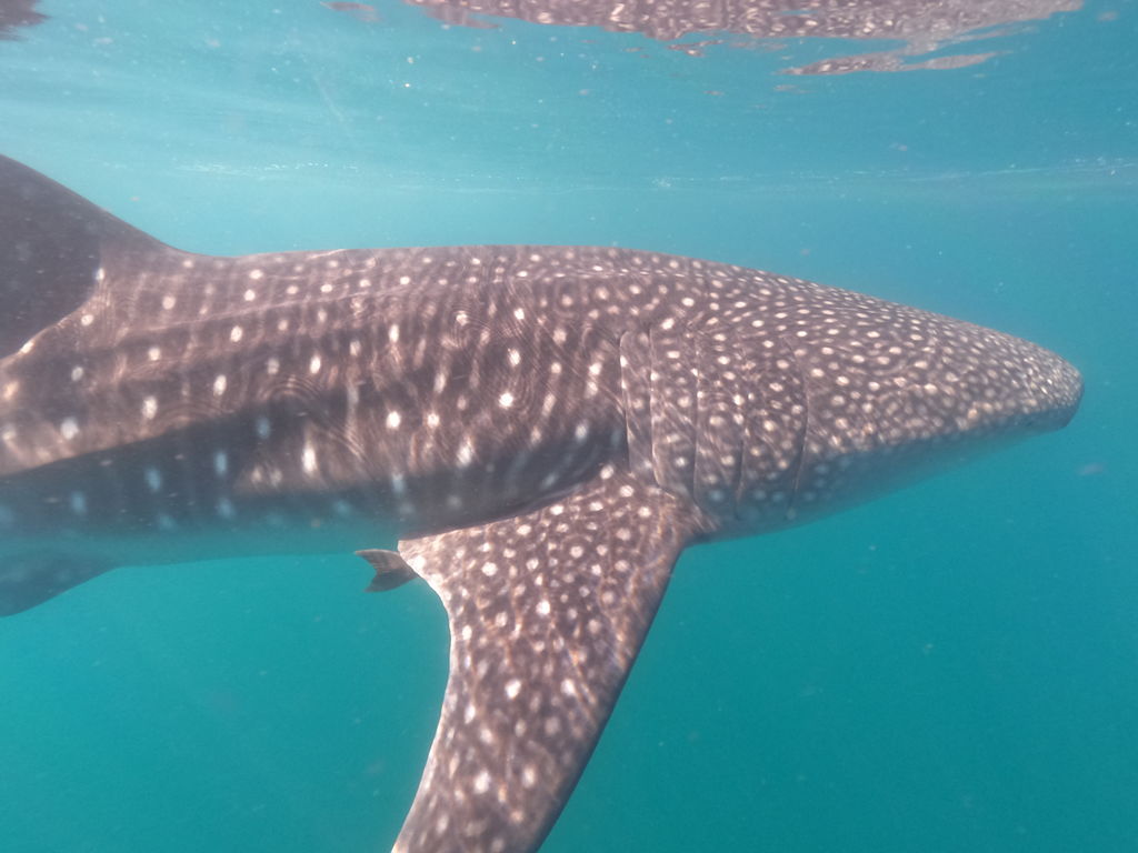 ecf17ce0-97f0-49c0-a246-6b76ac56c7f9