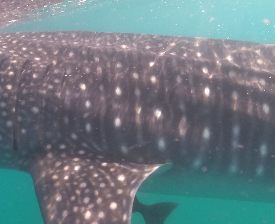 ecf17ce0-97f0-49c0-a246-6b76ac56c7f9