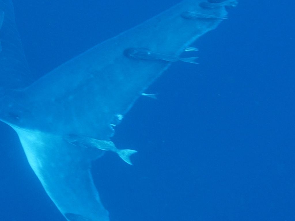 7e852ccc-45e0-43a5-af6b-e971ef59fe80