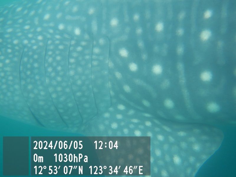 6f7efa87-26f6-44b1-9067-a9be7c8c17a3