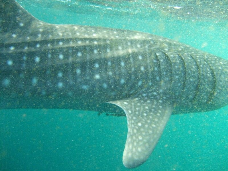 7642ff87-eef6-4421-a625-7a3747cf4a45