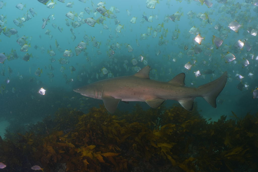 d70d8610-d18f-4019-a555-ffc0a204f972