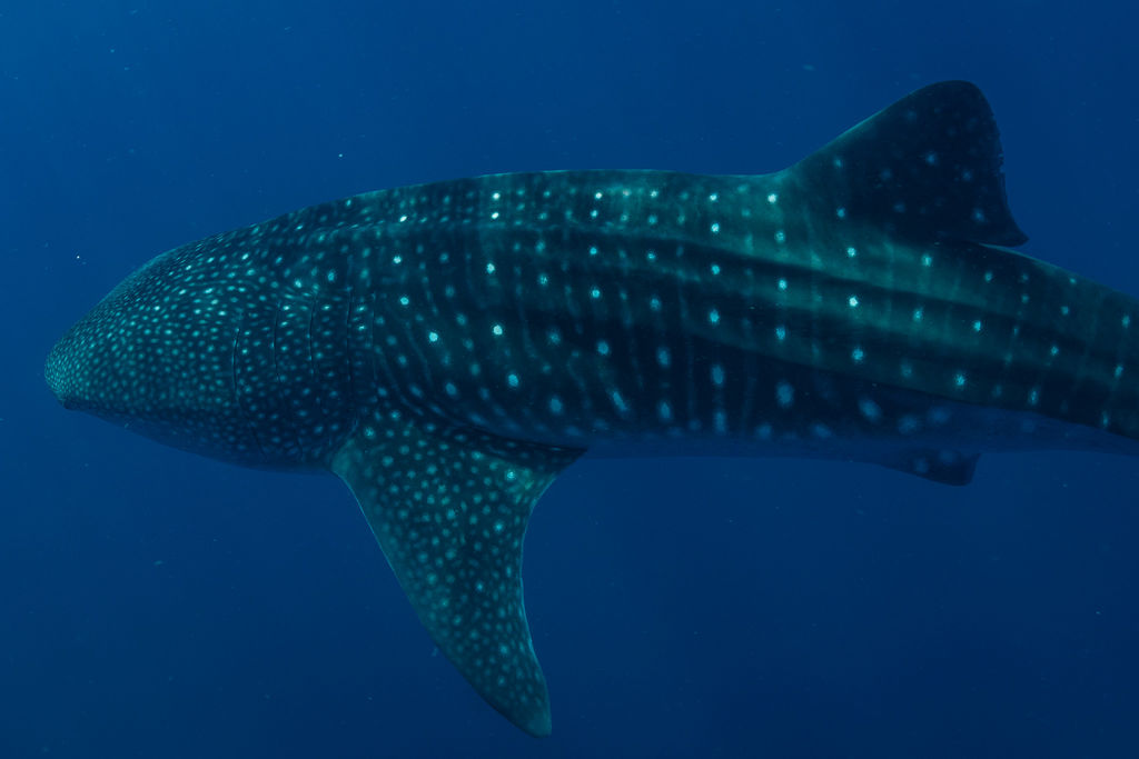 7b08cee8-d20d-48f4-922b-6d352d952a45