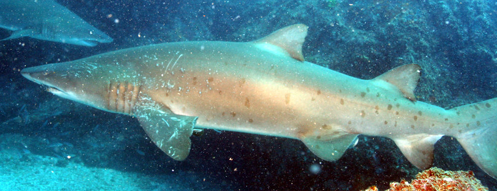 ce5fb6ff-3e9e-4621-ba45-821ef5c7e451