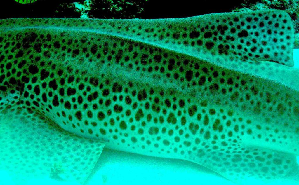 cd64f719-a524-4585-8406-13a765f78d03