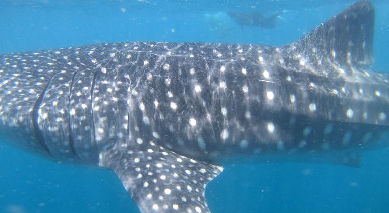 1745bc4b-d39f-4976-96ed-0b7868e84967