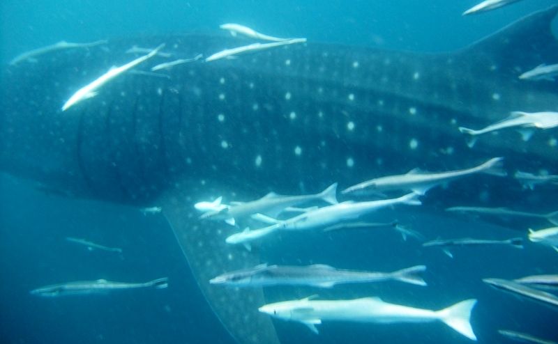 14c4bc6d-a9d7-4e59-b90b-039bdff0fb99