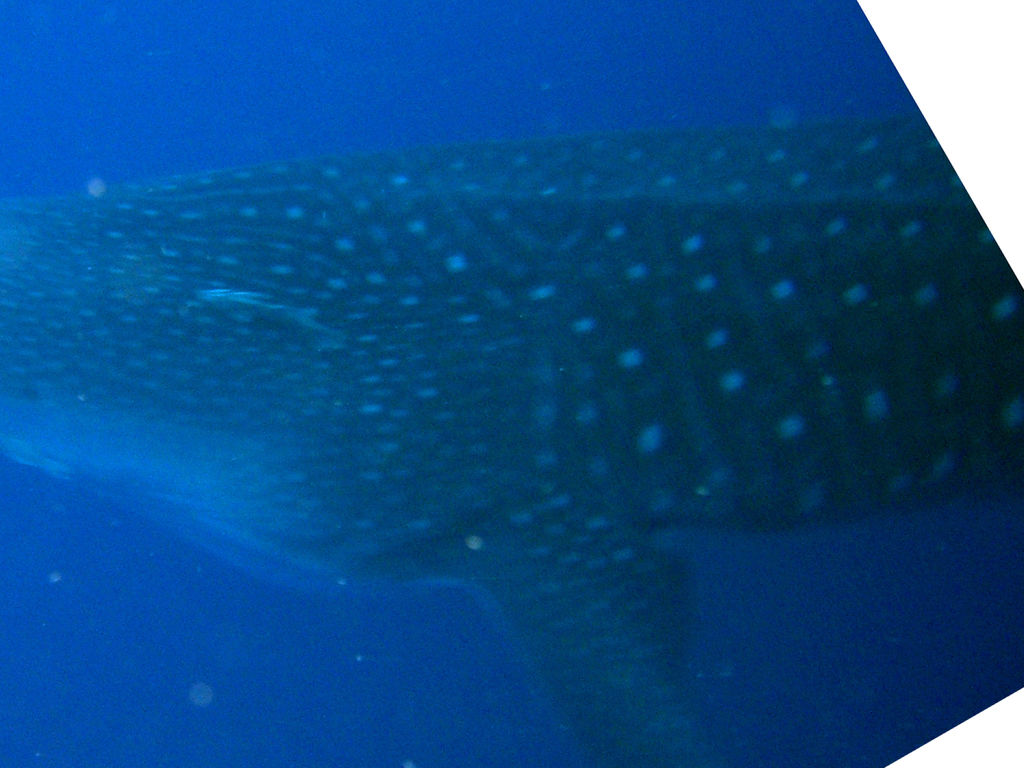 3174ccb2-b42e-431e-8cb5-15bbe2b48984