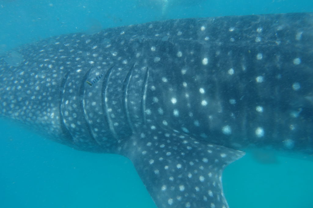 83ab8e3e-141e-461a-80d9-1c6b5503d291