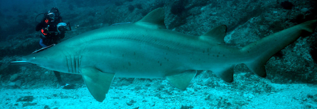 129b9184-cb15-41f2-be96-919b0d23263b