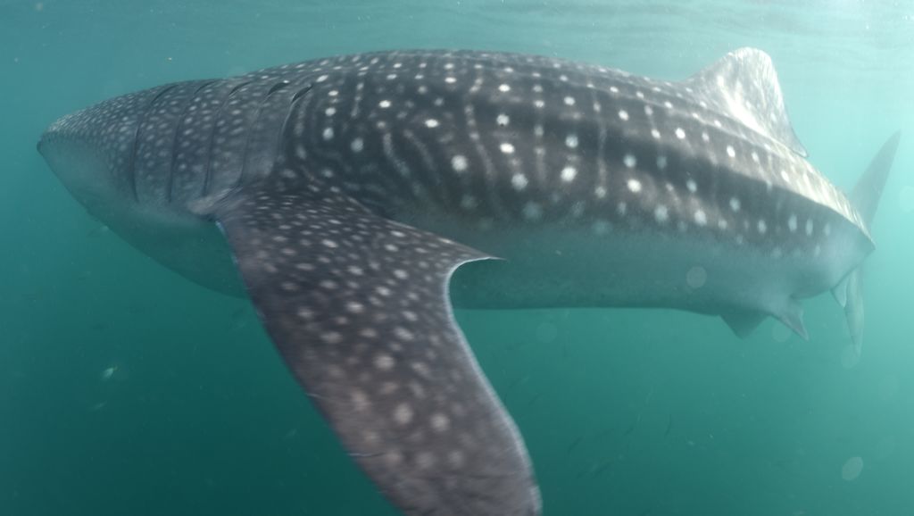 6270a87a-1889-4293-ad95-53c79cd19784