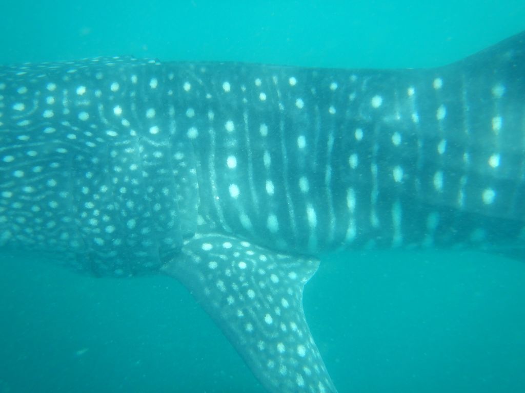 5173c695-5b62-4988-97f4-1f8d2e149721