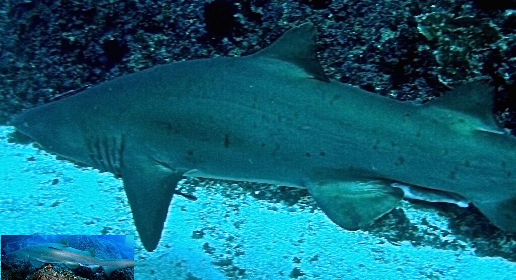 4d218899-f71c-431e-8160-f675f7a16985