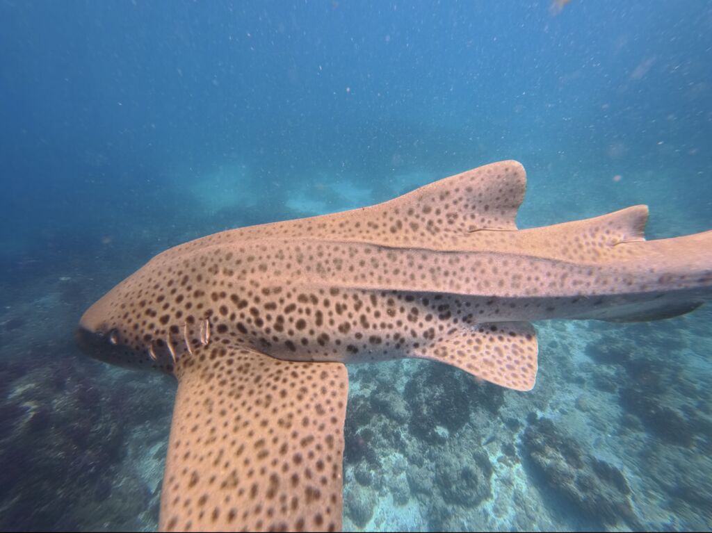 92ca59cf-3f47-403b-9e68-ba727e102e62