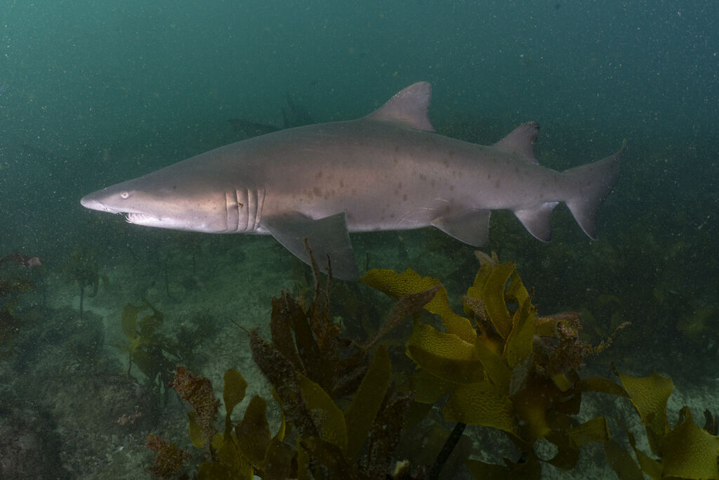 59518600-a248-4a57-9f60-0467b1005488