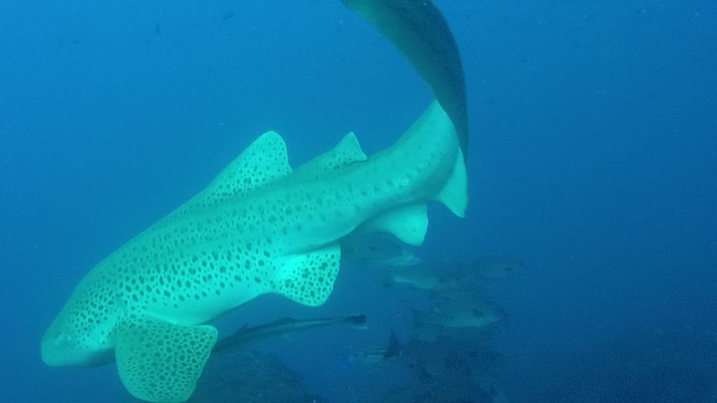 f88fc445-9677-4d7f-93a2-b9f3abc335ba