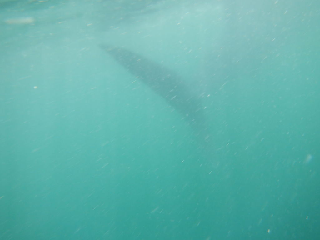 8c6d396c-91eb-4536-82a9-e5b89d713844