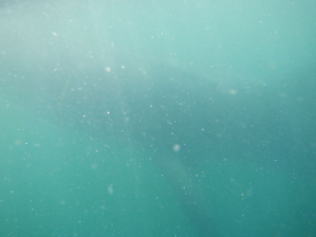 8c6d396c-91eb-4536-82a9-e5b89d713844